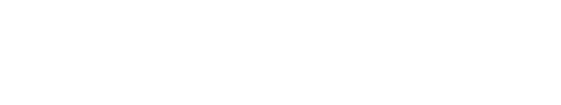 Tech Stone